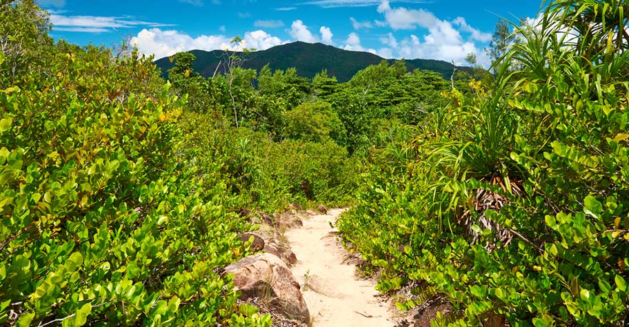 Naturausflüge Seychellen Naturausflüge Seychellen mit Kindern Wanderungen