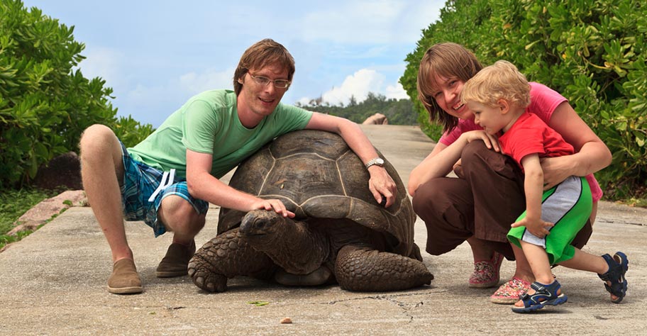 Seychellen Familien Riesenschildkröten Seychellen Reisen mit Kindern zu den Riesenschildkröten
