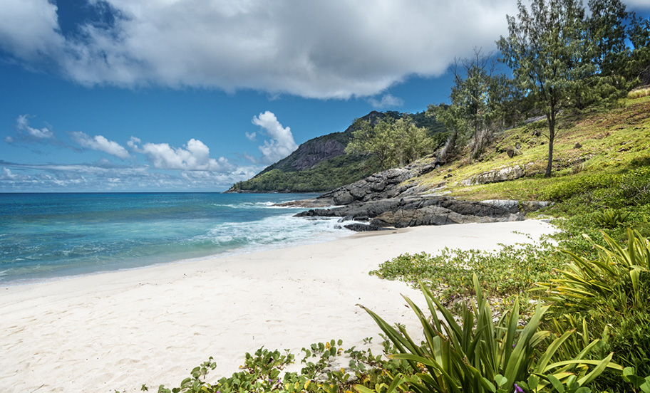 Strand Silhouette Island Seychelles Strand Anse Cimitiere Silhouette Island Seychellen