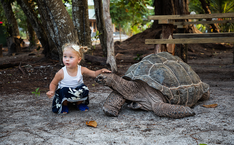 Mädchen mit Schildkröte Seychellen Mädchen Schildkröte Seychellen