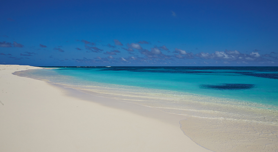 Strand Beach Bird Island Seychelles Strand Bird Island