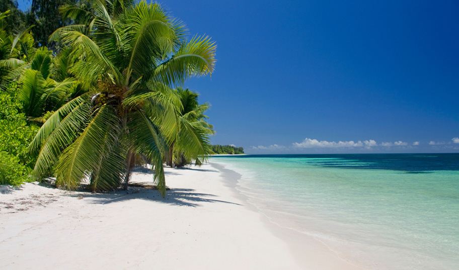 Beach Desroches Island Seychellen Beach Desroches