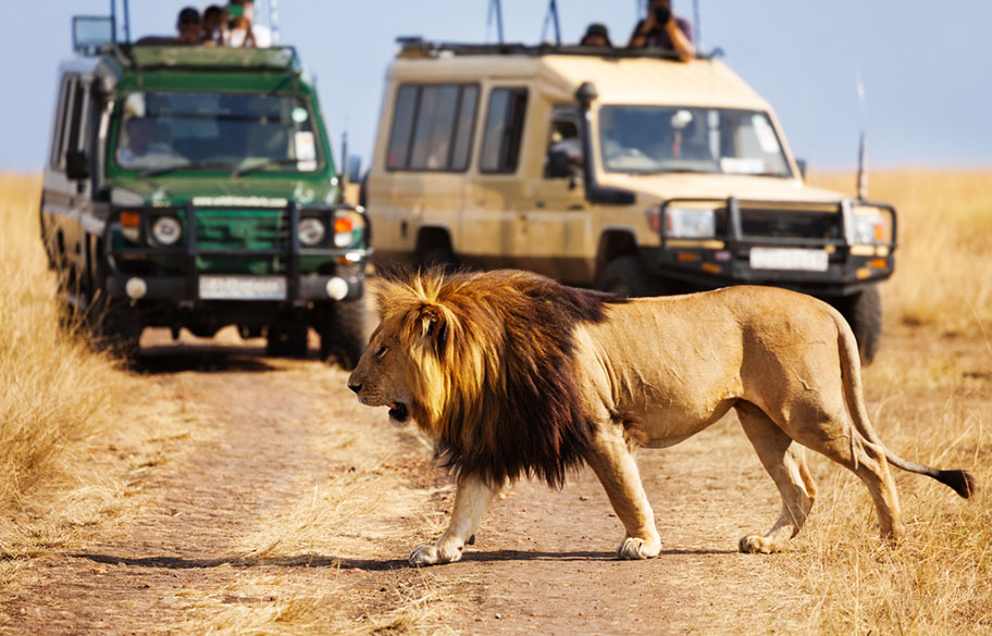 Kenya Seychellen Reisekombination 