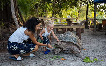 Seychellen Familie Schildkröte