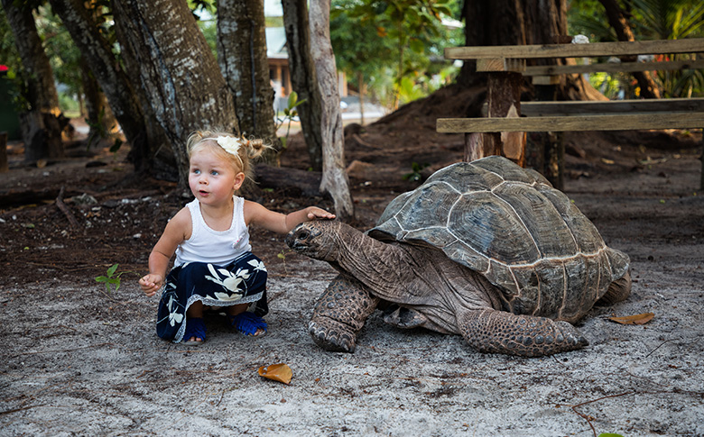 Mädchen Schildkröte Seychellen