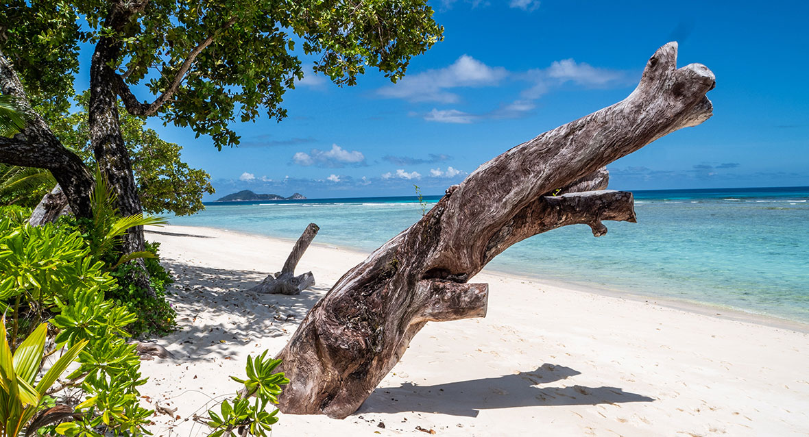 Inselhopping Silhouette Island Seychellen