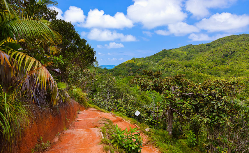 Seychellen Urlaub Valle de Mai, Praslin
