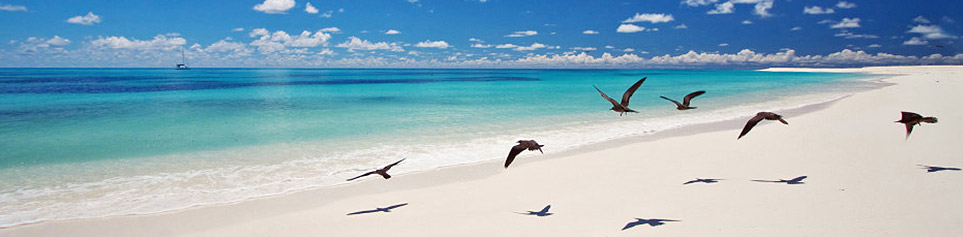 Bird Island Seychellen